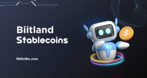 biitland.com stablecoins